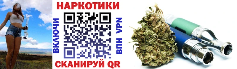 APVP Волгоград