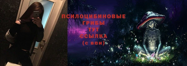 хмурый Инсар