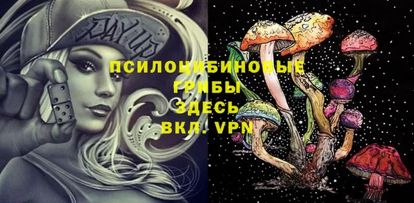 хмурый Инсар