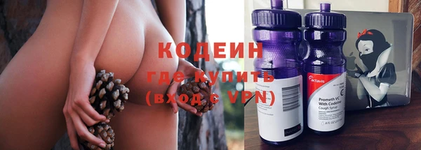 хмурый Инсар
