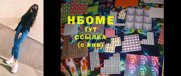 хмурый Инсар