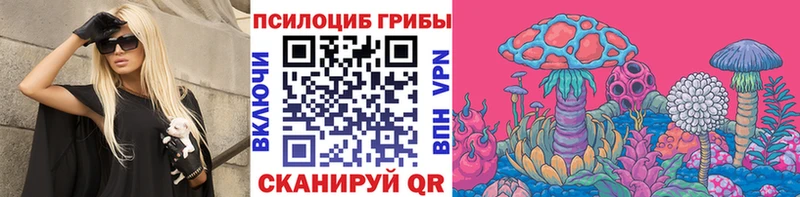 Галлюциногенные грибы мицелий  Купить где  Волгоград 